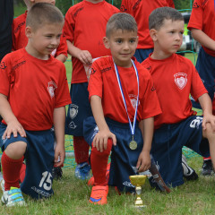 FC Ararat 2009